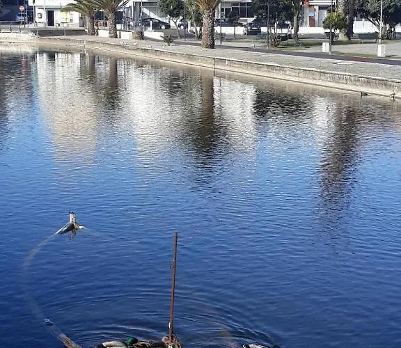 Bela Vista Barrinha Appartement