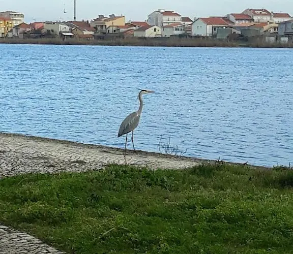 Appartement Bela Vista Barrinha